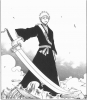 bleach_ichigo1140.jpg