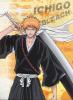 bleach_ichigo1358.jpg