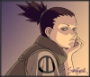 shikamaru2.jpg