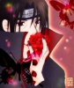 itachi_rose.jpg