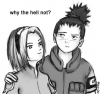 Shikamaru_and_Sakura_by_ThreeAM.jpg